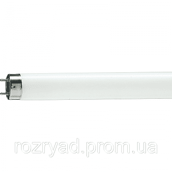 Лампа люм. 18W G13  18W/640 ФС
