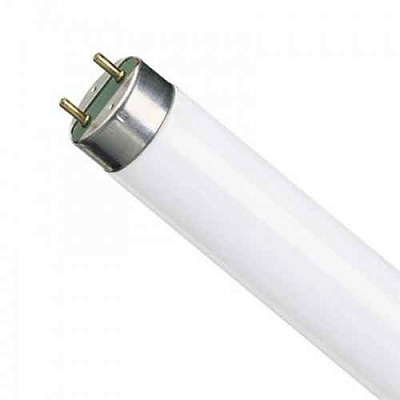 Лампа люм. 58W G13  L58W/765  OSRAM