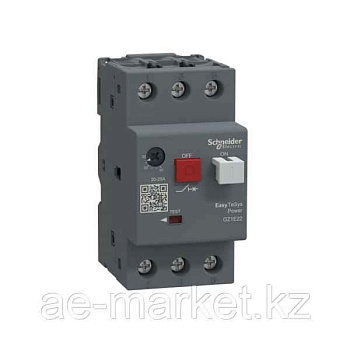 GZ1E22 АВТ. ВЫКЛЮЧАТЕЛЬ 20-25A Schneider