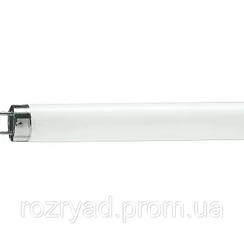 Лампа люм. 18W G13  18W/640 ФС