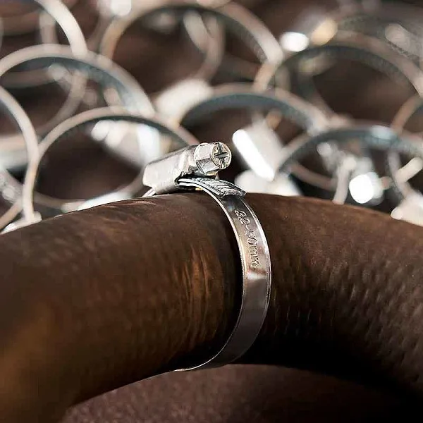 Хомут стальной червячный 32-50 (Россия) Rexant 07-0632 