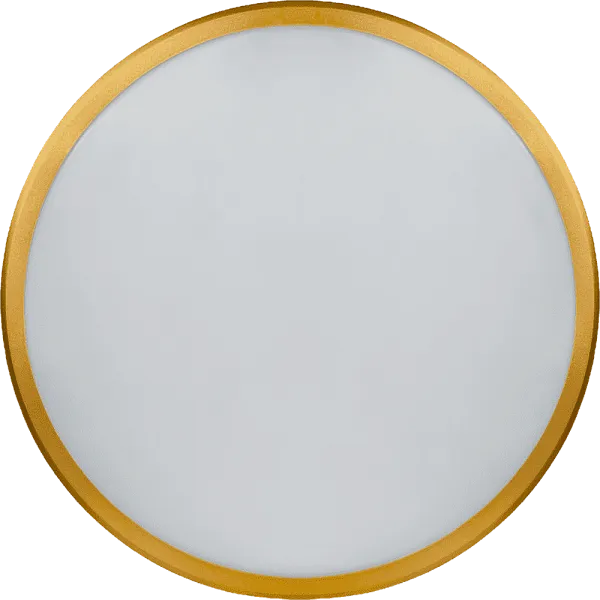 ДПО 17Вт (круг) 4К IP44 NLF-C-014-02 17 Вт, золото окантовка Navigator 80500