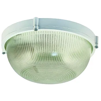 НПП 03-100-009 Круг мат./белый корпус  IP65 Банник 1101