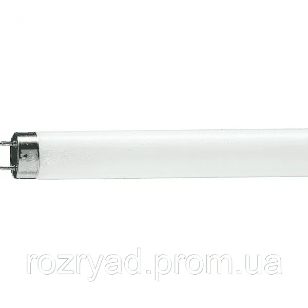 Лампа люм. 18W G13  18W/640 ФС