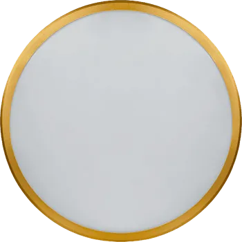 ДПО 17Вт (круг) 4К IP44 NLF-C-014-02 17 Вт, золото окантовка Navigator 80500